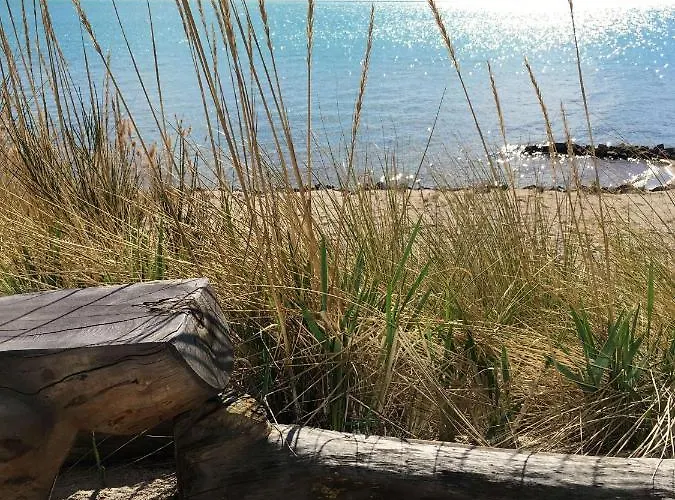 شقة Haus Im Schilf 1 - Oase Mit Seeblick - Adults Only